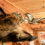 Rustic Hut Salzburg Near Slopes Holiday home Bramberg am Wildkogel