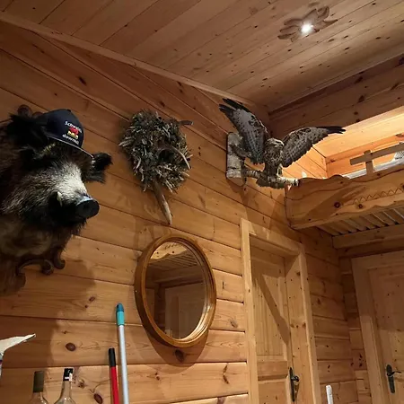 Rustic Hut On The Mountain Bramberg am Wildkogel