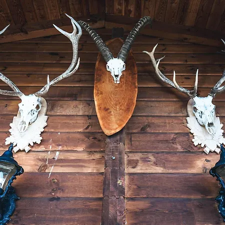 Rustic Hut Salzburg Near Slopes برامبرغ ام ويلدكوغه