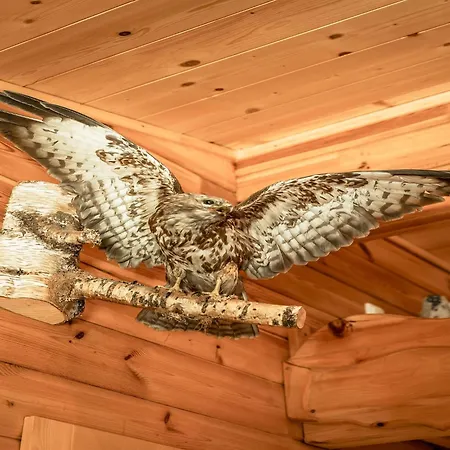 Rustic Hut Salzburg Near Slopes