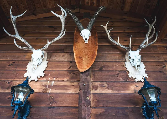 Rustic Hut Salzburg Near Slopes برامبرغ ام ويلدكوغه