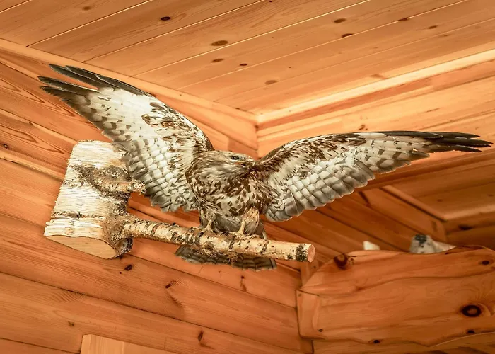 Rustic Hut Salzburg Near Slopes